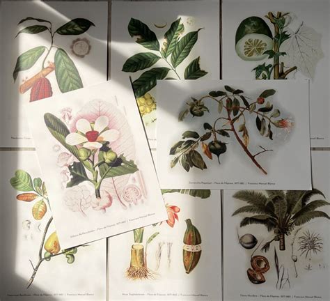 Art Appreciation Portfolio – INK Book Nook.